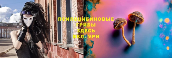 ПСИЛОЦИБИНОВЫЕ ГРИБЫ Майский