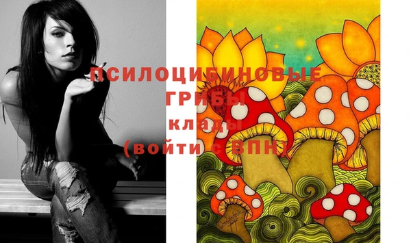 ПСИЛОЦИБИНОВЫЕ ГРИБЫ Майский