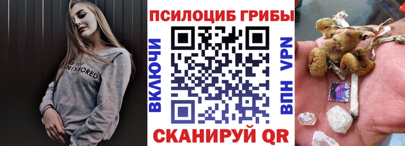 Галлюциногенные грибы мицелий mega зеркало darknet телеграм Талица